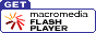 flash player